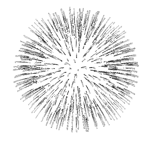 Firework